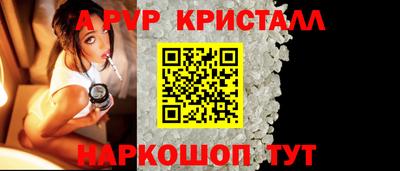 гашик Шелехов