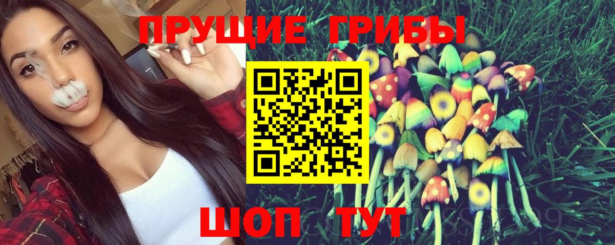 Галлюциногенные грибы Cubensis Богданович
